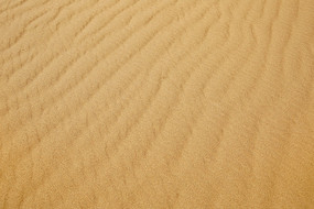 ɳĮ��ɳ����