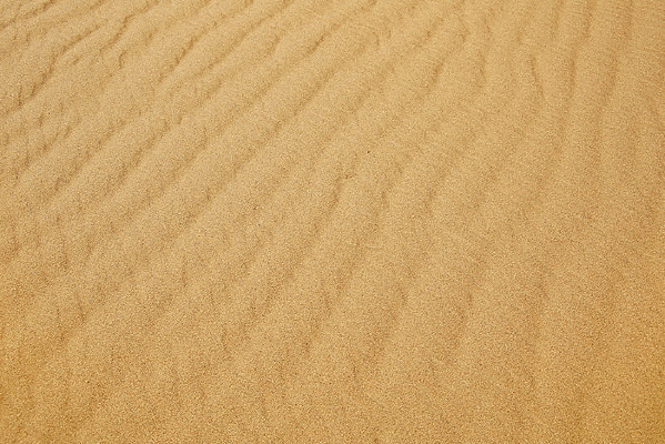 ɳĮ��ɳ����