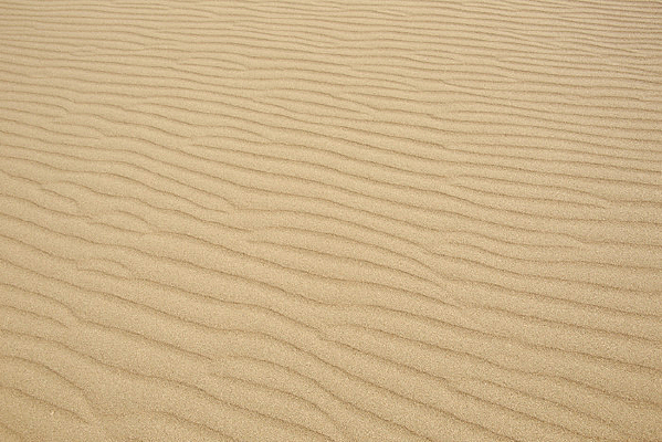 ɳĮ���Ʊ���