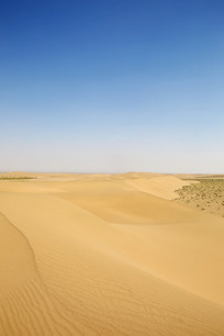 �͵�����ɳĮ���