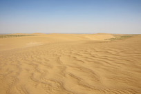 ������ɳ������