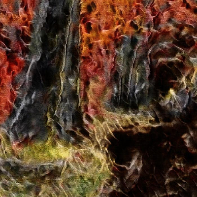 ������Ҷ����װ���ͻ�