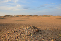 ��Į���绯���������ò