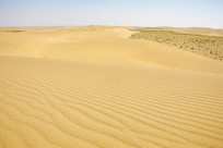 ����״��ɳĮĮ����