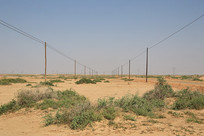 ��ڵ������߸�