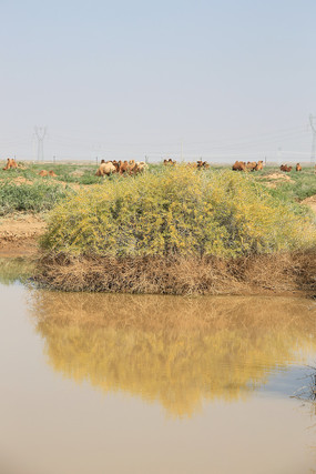 ���̲����ˮԴ��