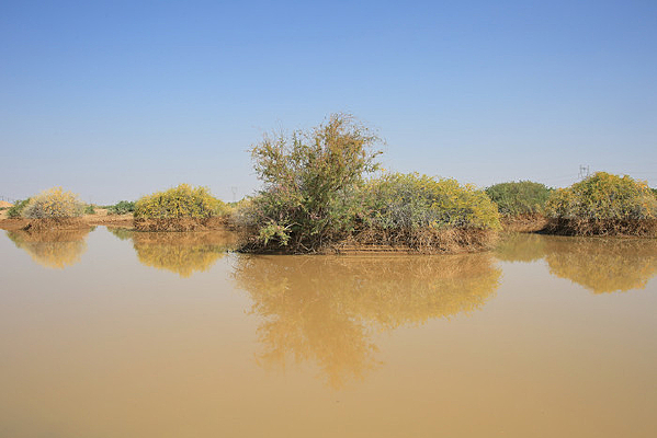 ���̲����ˮԴ��ˮ��