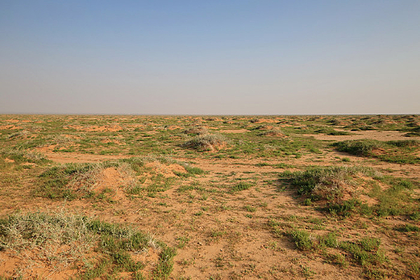 ���̲�������İ���ò