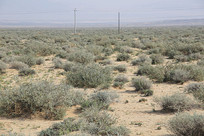 ���̲�������ͺ�ֲ��