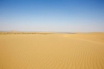 �����ɳĮ��ò