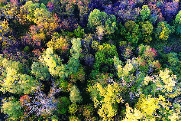 ���Ĳ��ò��� 