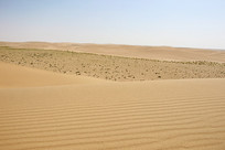 ������ɳɳĮ