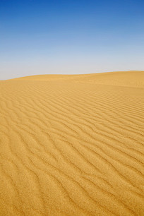 �����µ�ɳ����ɳ����