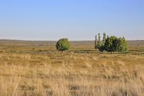 ���ɸ�ڵ��ʵ�ò