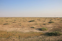 ���ɹŸ�ڻ�ԭ���ʵ�ò