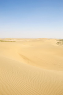 �����ɳĮɳ��