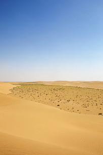 ɳĮ������