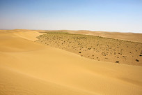 ɳĮ��ɳĮ����