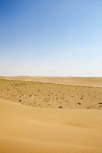 ɳĮĮ�е��ǵ��̴�