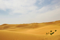 ɳĮ�����ò