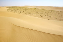 ɳĮɳ��ֽ���