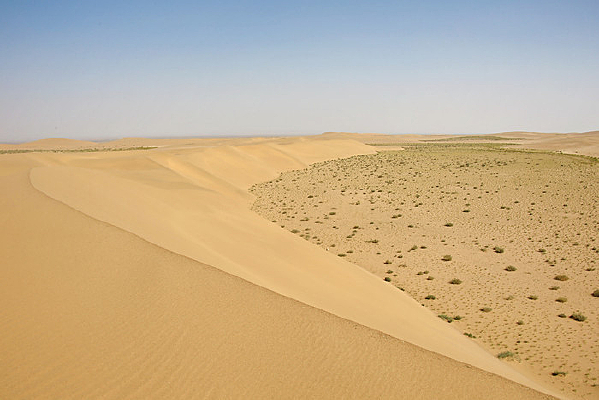 ɳĮɳ���ɳĮ��ֲ