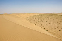 ɳĮɳ���ɳĮ��ֲ