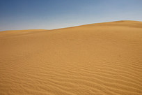 ɳĮɳ������