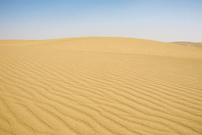 ɳĮ�е���ɳ����