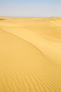 ɳĮ�е�ɳ���ò