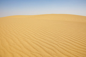 �ڸ���ɳĮ��ɳ����