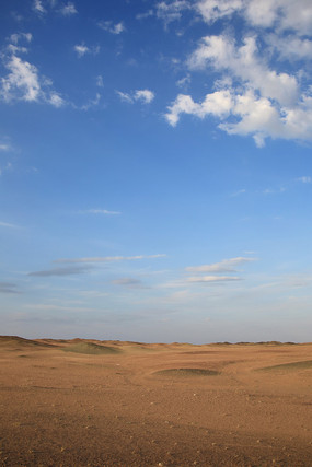 ������Į���������