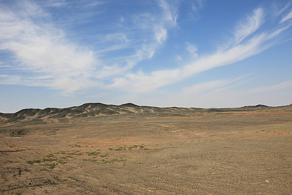 ������Į������