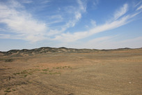 ������Į������