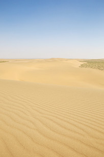 ����ɳĮ���ʵ�ò