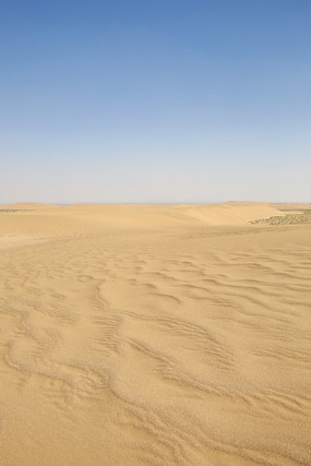 ����ɳĮ���