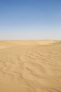 ����ɳĮ���