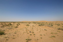 һ���޼ʵĸ��ɳĮ