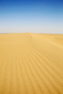 һ���޾���ɳĮɳ��