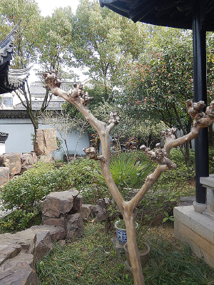 ԰�־�����