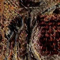 ��ŷ�Ļ�װ�λ����ͻ�