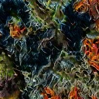 ��ŷ����װ�λ����ͻ�