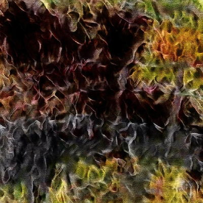 �����ľ����װ�Ļ����ͻ�