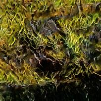 ������ɫ��ƺװ�λ����ͻ�