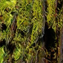 ������ɫɭ��װ���ͻ�