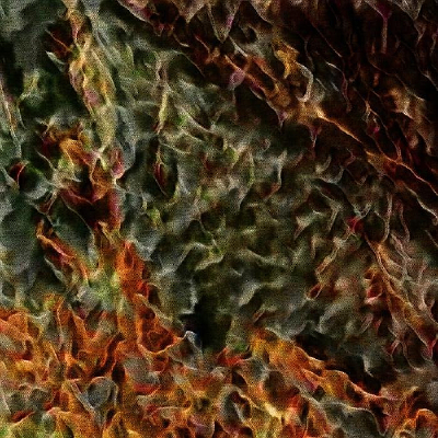 ����ï��ɭ��װ�λ����ͻ�