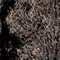 ����ŷʽ����װ�λ����ͻ�