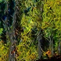 �������ַ羰װ���ͻ�