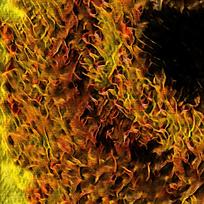 ���ȵ��ɫ��Լװ���ͻ�