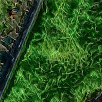 �λû�������װ�α���ǽ